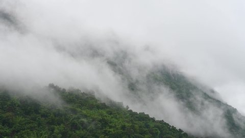 Fog seening up at a mountain rainforest during a rainy day in Sai Yok, Kanchanaburi, Thailand.