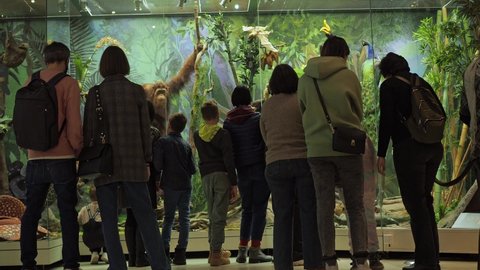 Moscow January 2022. Darwin Museum. Visitors with children view the exposition with wild animals