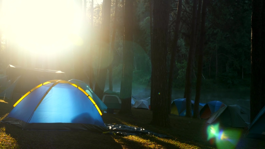 Tents camping area, early morning. Natural area with big pine trees and green grass. Amazing sunrise nature and landscape. Campsite at Thailand. The bright sun and the sun rays