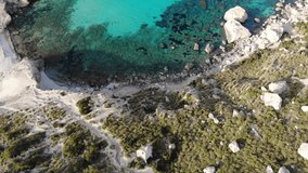 Drone aerial video of picturesque bay with blue turquoise water, corals and rocks on Spanish island of Palma de Mallorca. Green bushes and stones at hidden isolates island beach. Spain, Europe nature.