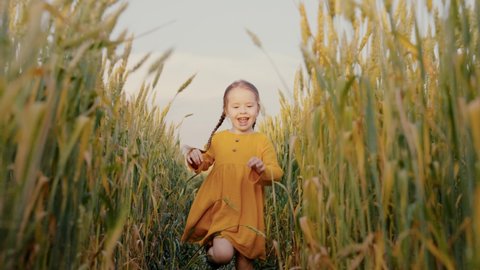 Happy girl, child runs through wheat field. Child at sunset in park. Cid runs, plays in wheat field in summer. Happy girl runs, child is dream. Happy family. Cute kid, little girl playing outdoors