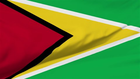 Flag of Guyana. High quality 4K resolution	
