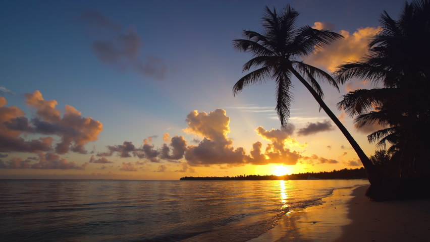 Sunrise or sunset view of Palm tree and beautiful tropical beach  Royalty-Free Stock Footage #1087402184