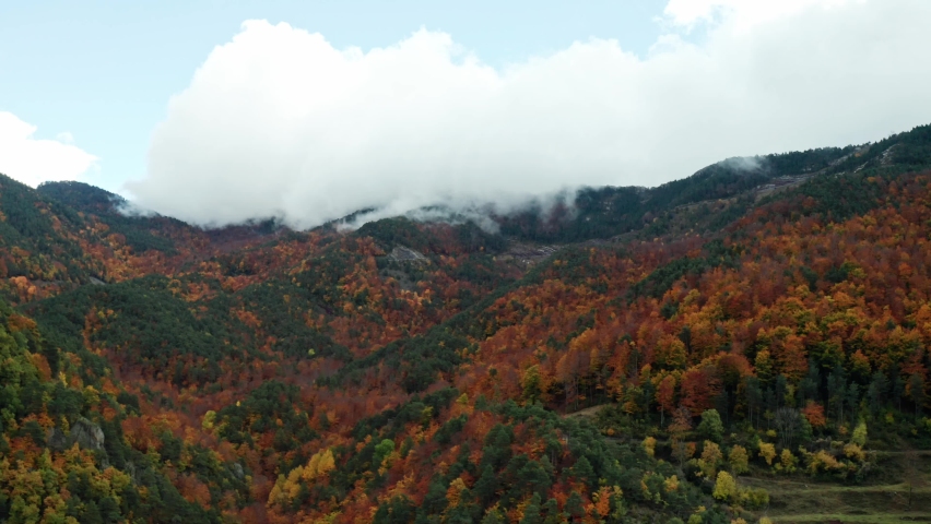 autumn forest in mountains of andorra