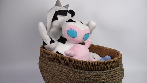 Cow plush toy in the basket rotated  with white background