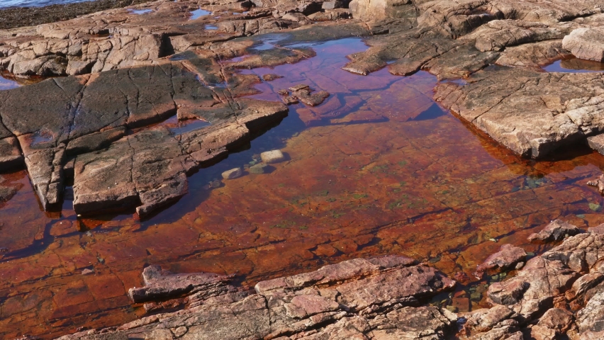 Rocky coastline in Acadia National Park in Maine