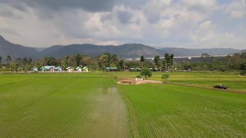 Aerial Drone Shot Rising Upward Over Freshly Green Rice Fields in Thailand with Mountainous Background.
