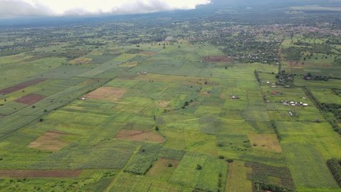 Scenic landscape of plantations in Loitokitok, Southern Kenya, aerial view