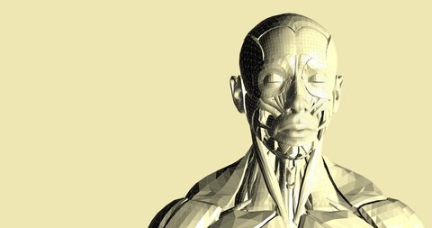Human body 3D model in wireframe loop. Seamless anatomy of body with muscles. Backdrop animation