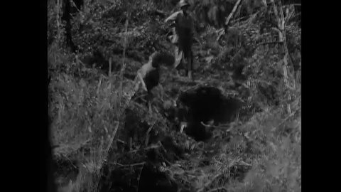 CIRCA 1945 - American soldiers throw grenades into a cave where Japanese soldiers are hiding in the Philippines.