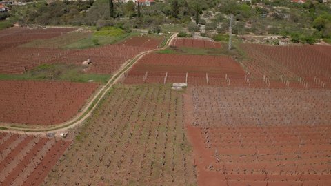 Aerial shot of the vineyard of Korcula island in spring time in Dalmatia region, Croatia
