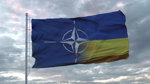 Kiev, Ukraine - February 2022: NATO and Ukraine flag. NATO flag waving. Sign of North Atlantic Treaty Organization and Ukraine