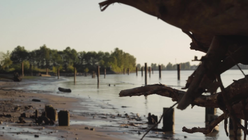 Riverbank shoreline beach with wooden posts standing out of the calm water trees in the background view abstract thirds blurry stump foreground peaceful beautiful ripples waves clear blue sky day