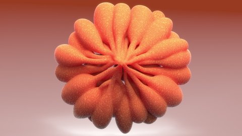 Female Internal Organs Mammary Glands Anatomy Animation Concept. 3D