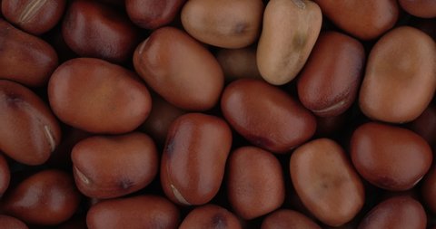 Top view of fava beans rotating. Closeup. Macro.