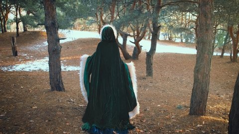shot mystical lady in medieval clothing long green cloak cape, coat with fur, woman queen walks in winter forest conjures, girl in hood. Spring nature. Back rear view, fantasy vintage creative video