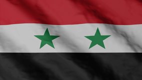 Syrian flag waving in the wind. 
Syria national flag video footage.