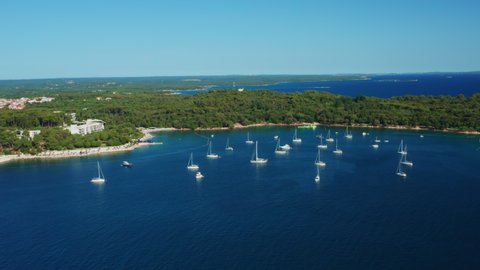Yachts rest in marina port of forestry island at Rovinj archipelago surrounded by blue water of Adriatic sea. European tourist destination panorama view