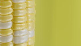 Ear of corn on a yellow background, extreme macro shooting. Honor grains are not yet ripe. Free space on the right. 4K UHD video footage 3840X2160.