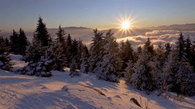 Panorama of Winter snowy forest in cold alpine mountains in colorful sunrise nature - Powered by Shutterstock - Get 15% off with code: PIKWIZARD15