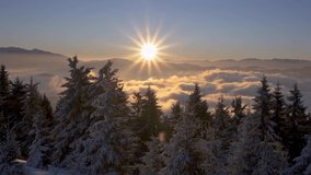 Peaceful Winter morning at sunrise in cold snowy forest alpine mountains travel nature landscape - Powered by Shutterstock - Get 15% off with code: PIKWIZARD15