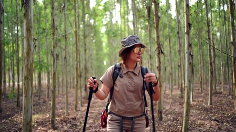 Asian woman hiking trail and trekking in the forest alone. Travel and outdoor activity. Relax and recreation in autumn holiday.