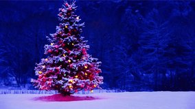 Beautiful Natural Scenery Video , Christmas background and winter scene