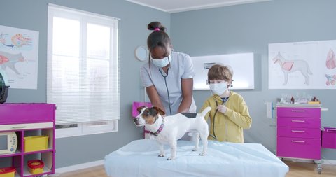 Protrait of african american female veterinarian in mask using stethoscope examining jack russel dog. Little boy in mask playing with doctor equipment and petting the dog. Dog waving tail.