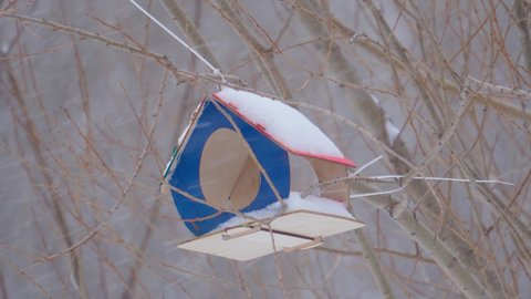 Birdhouse in the park in the winter season during a snowfall. Selective focus