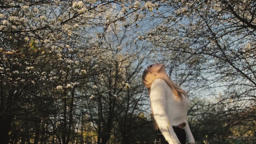 Attractive young woman in sweater, jeans is dance and spinning among blossom apple tree. Sunset, spring orchard and green field. Slow motion. Caucasian one girl, long fluttering hair. Sun glasses.