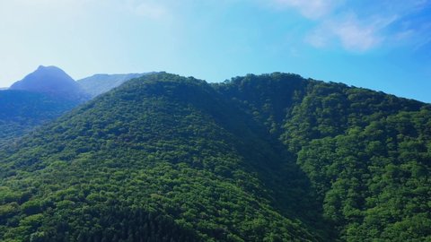 Beautiful shot of a drone going over forest in Hakone , Japan towards mountain 