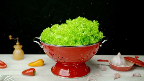 Batavia Lettuce Falling into the Red Colander on the Wooden Table in Slow Motion