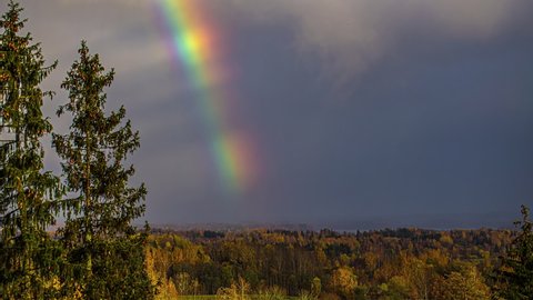 View of vanishing over rainbow over green forest landscape. Clouds passing by after rain.