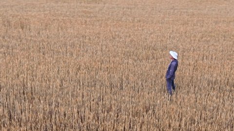 Aerial view of a man in a hat standing in a field of ripe wheat. Drone flying around. Modern technologies are used in agriculture