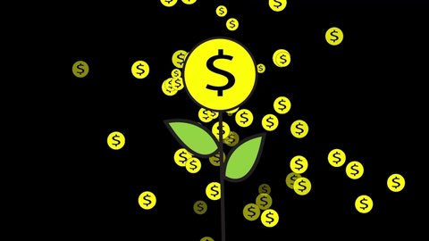 video illustration of a money tree growing and bearing fruit, money falling like a shower from a money tree on a black background, 4K 60 FPS