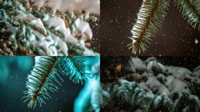 collage video snow falling at the fir trees branches. Snow falls from pine tree branch in a forest. Slow motion