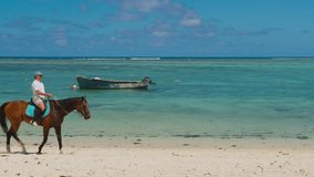 Man riding horse on the beach. Slow motion video. Sport and travel concepts