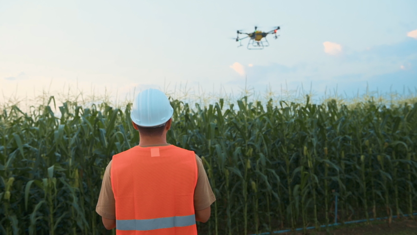 Male engineer controlling drone spraying fertilizer and pesticide over farmland,High technology innovations and smart farming, a Technology Video by Thanakorn.P