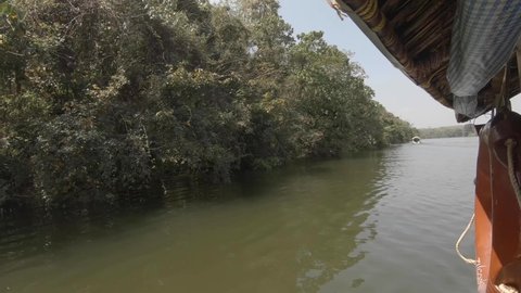 Boat ride close the densely forested shoreline of the Periyar river in Kerala, India.
