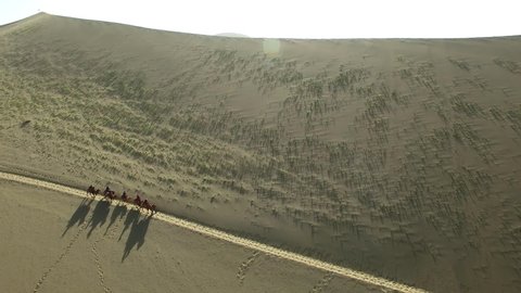 The Chinese region of the Gobi Desert. Six camels with a driver among the sand dunes.