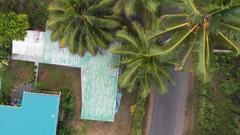 Aerial view on a man riding bicycle in Rarotinga, Cook islands. Filming from the air with a drone in 4K. Flying over the palmtrees and local houses.