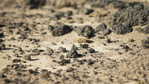 Close up volcanic tiny rocks in desert ground. Amboy crater, Mojave desert