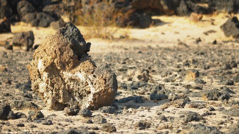 Close up rocky sandy desert soil, Amboy crater Mojave desert