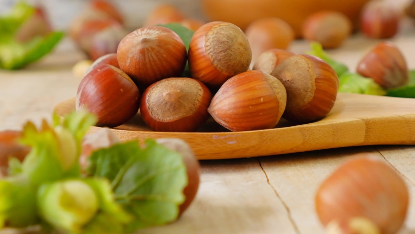 Hazelnuts harvest. Nuts fall on the table. Whole and shelled organic hazelnuts on a wooden table. Hazelnuts in rustic style. Healthy fats. Farmed organic hazelnuts Royalty-Free Stock Footage #1087607084