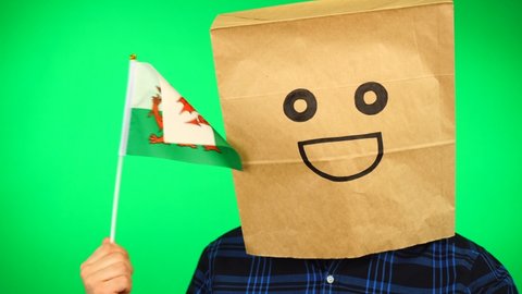 Portrait of man with paper bag on head waving Welsh flag with smiling face against green background.