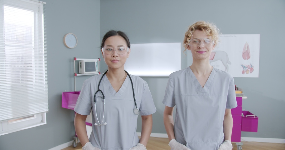 Portrait of Pet doctors confidently folding hands and giving five to each other. Veterinarian women doctors with stethoscope around neck looking to camera. Concept pets care, veterinary, animals