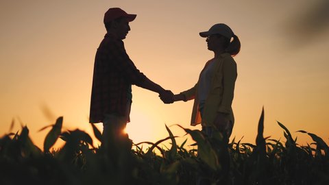 Agriculture. two farmers shake hands, conclude a business contract for a corn field. agriculture sale harvest concept. business handshake of farmers in a sunlight corn field. shake hands agriculture