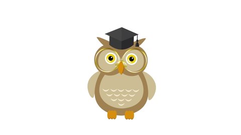 4K Animated wise owl wears graduation cap. Wise Brown Owl in Graduation Cap, Cute Bird Teacher Cartoon Animation Character. Graduation hat and smart owl design elements. Isolated on white background.