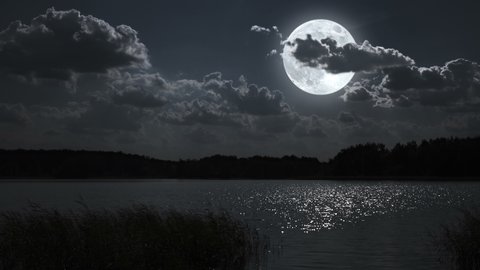 Full moon night landscape with forest lake