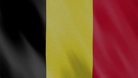 Belgium flag 4k video, motion animation realistic with fabric texture, perfect for background.